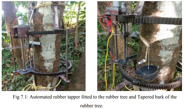 Rubber Tapering
